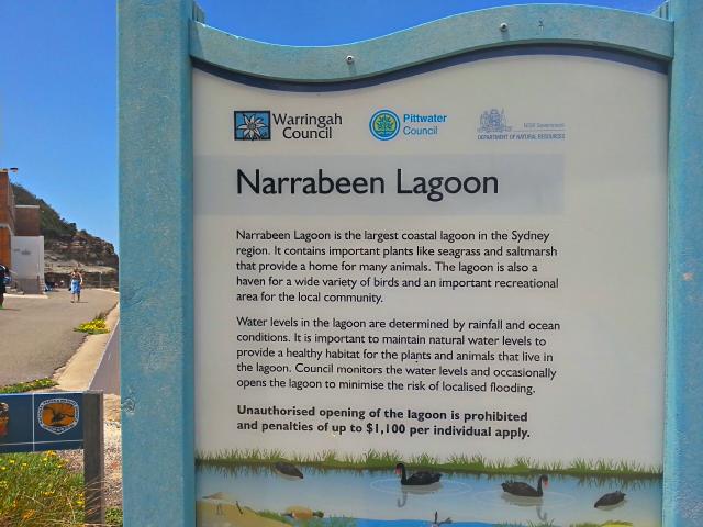 NRMA Sydney Lakeside Holiday Park - Narrabeen: Narrabeen Lagoon information