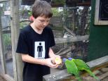 NRMA Sydney Gateway Holiday Park - Parklea Sydney: We loved the interactive avairy and fell in love with the lorikeets there 
