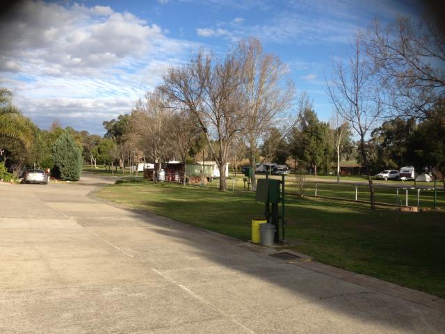 Austin Tourist Park - Tamworth: Lower sites grassy powered and camping
