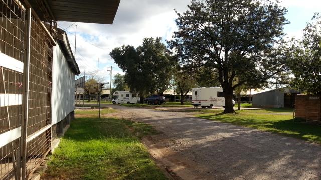 Paceway Tamworth - Taminda: Gravel roads thoughout the Showground