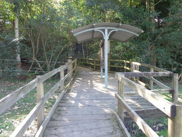 Dawson River Tourist Park - Taree: At the nearby town of Wingham is Wingham brush a small board walk in the forest worth a look 
