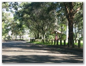 Taree Rotary Park - Taree: The road around the park is quite narrow and not really suitable for large rigs