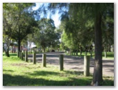 Taree Rotary Park - Taree: Another view of the park road.
