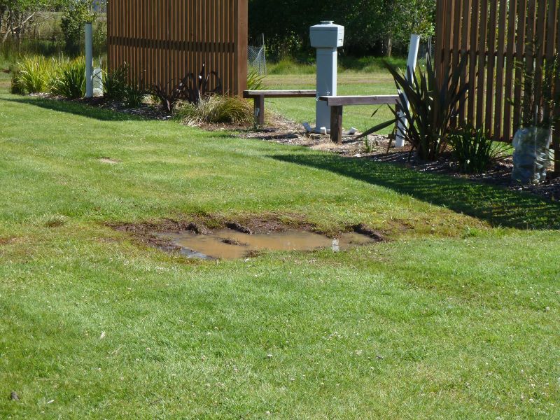 Tarraleah Highland Village and Holiday Park - Tarraleah: Caravan sites remain boggy in patches after rain