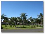 Seabreeze Holiday Park - Tathra Beach: Magnificent palms provide shade for the powered sites.