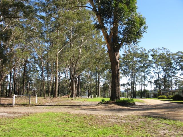 Countryside Caravan Park - Tathra: Area for tents and camping