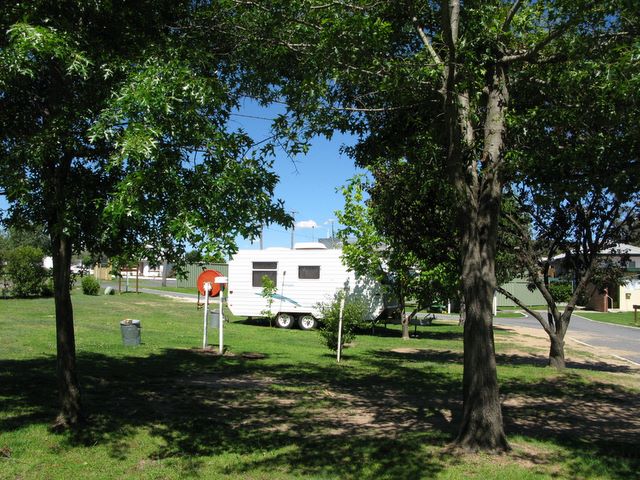 Craigs Caravan Park - Tenterfield: Shady powered sites for caravans