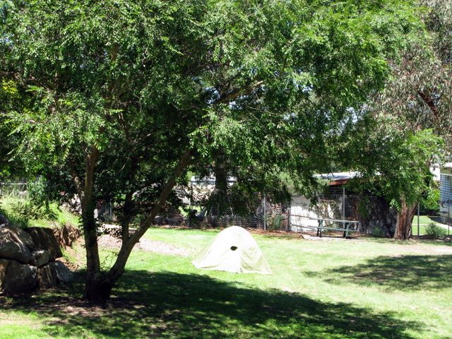 Tenterfield Lodge Caravan Park - Tenterfield: Area for tents and camping