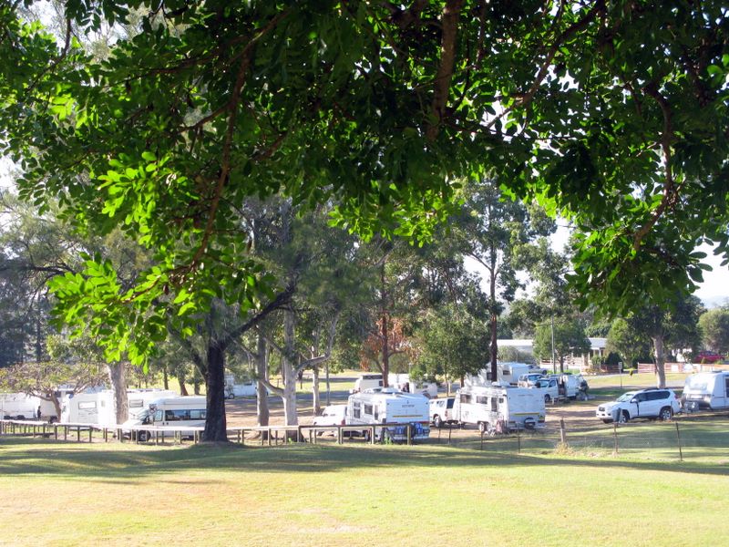 Tiaro Memorial Park - Tiaro: Overview of camping area