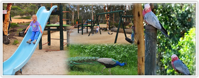 Toodyay Caravan Park - Toodyay: Playground for children.
