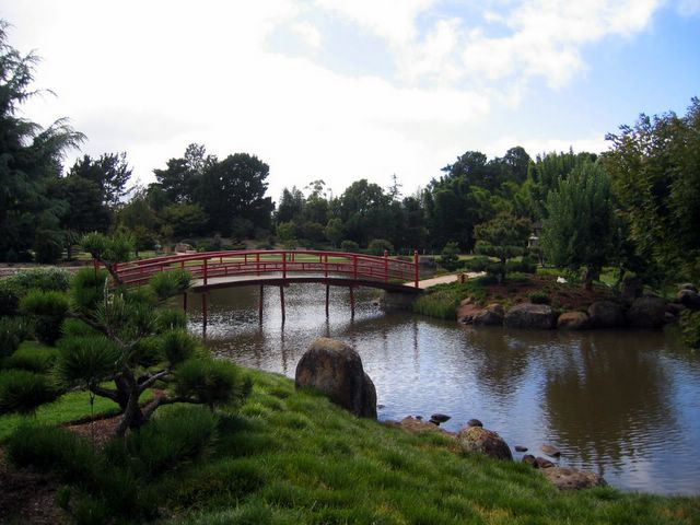 Japanese Garden - Toowoomba: Viewing fish islet