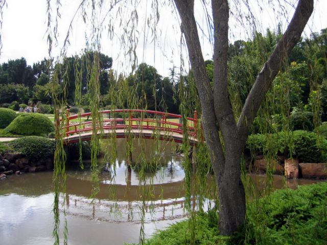 Japanese Garden - Toowoomba: There are 4.5 hectares of landscaped garden along 3 kilometers of paths