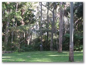Twin Dolphins Holiday Park - Tuncurry: Powered sites for caravans in bushland setting.