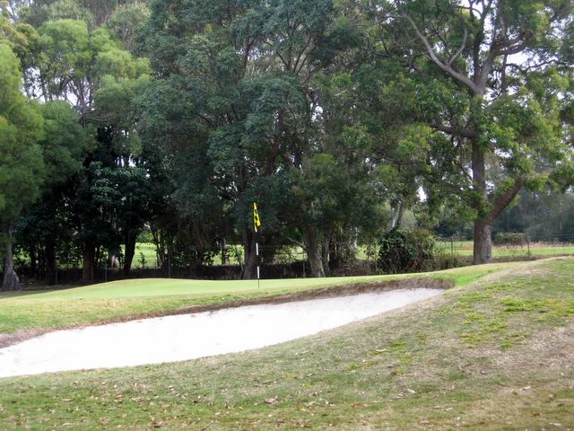 Coolangatta Tweed Heads Golf Course - Tweed Heads: Green on Hole 9