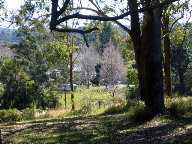 Brigalow Park - Urunga: Overview of the park from the Pacific Highway