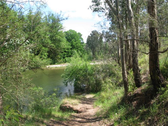 Valencia Creek Caravan Park - Valencia Creek: Valencia Creek adjacent to the park.