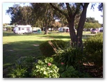 Victor Harbor Holiday & Cabin Park - Victor Harbor: Shady powered sites for caravans
