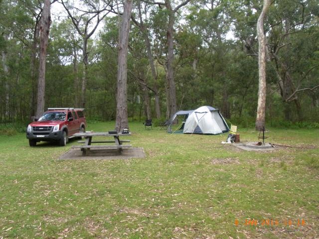 Lake Creek Camping Ground - Wadbilliga National Park: campsites close to creek