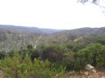 Lake Creek Camping Ground - Wadbilliga National Park: view from the top of the range due west.