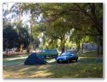 Wagga Wagga Beach Caravan Park - Wagga Wagga: Area for tents and camping
