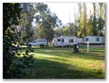 Wagga Wagga Beach Caravan Park - Wagga Wagga: Drive through powered sites for caravans