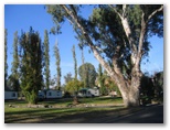 Wagga Wagga Beach Caravan Park - Wagga Wagga: The park has many beautiful trees.