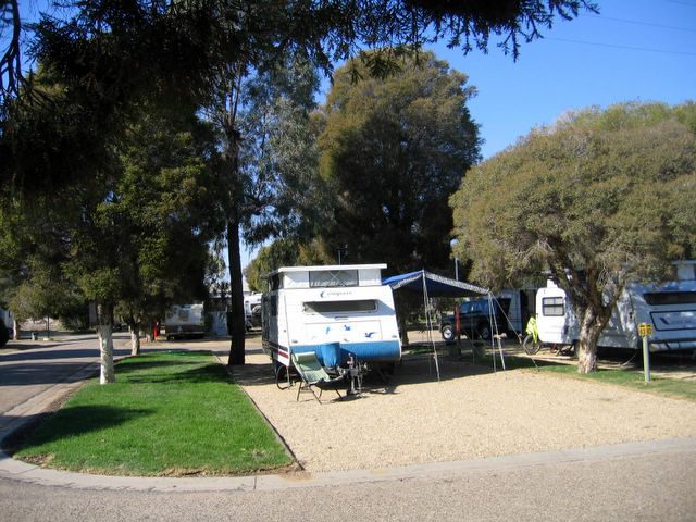 Easts Riverview Holiday Park - Wagga Wagga: Drive through powered sites for caravans
