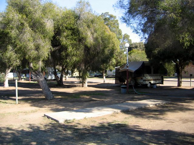 Easts Riverview Holiday Park - Wagga Wagga: Shady powered sites for caravans
