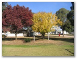 Forest Hill Caravan Park - Wagga Wagga: Powered sites for caravans