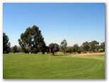 Wagga Wagga RSL Golf Course - Wagga Wagga: Green on Hole 9