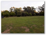 Painters Island Caravan Park by Russell Barter - Wangaratta VIC Album 2: Lots of open spaces for camping