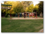 Painters Island Caravan Park by Russell Barter - Wangaratta VIC Album 2: Playground for children.