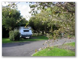 Discovery Holiday Park - Warrnambool - Warrnambool: Powered sites for caravans