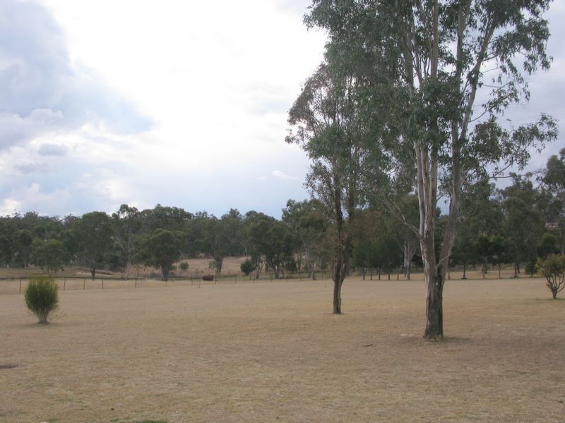 Harts Tourist Park - Warwick: Area for tents and camping