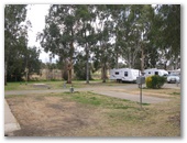 Kahlers Oasis Caravan Park - Warwick: Powered sites for caravans