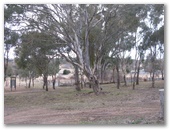 Wattle Flat Picnic and Camping Area - Wattle Flat: Parking area