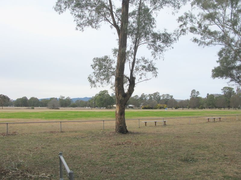 Werris Creek Sporting Complex - Werris Creek: View of the oval from the stay and rest area.