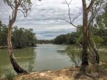 Farley Bend Campground - Wharparilla: Magnificent peaceful riverside campground