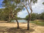 Farley Bend Campground - Wharparilla: Always lovely river views