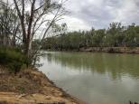 Wills Bend Campground - Wharparilla: The peaceful Murray River