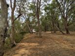 Wills Bend Campground - Wharparilla:  Plenty of room here for rigs of all shapes and sizes 