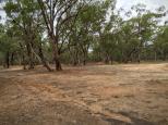 Wills Bend Campground - Wharparilla: The ground can be a bit slippery and muddy in the wet