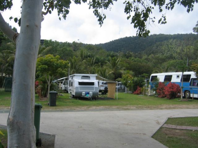 Mountain Valley Caravan Park - Cannonvale: Powered sites for caravans