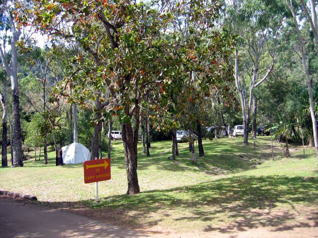 Seabreeze Caravan Park - Cannonvale: Area for tents and camping