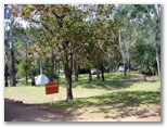 Seabreeze Caravan Park - Cannonvale: Area for tents and camping
