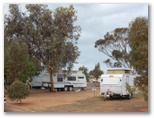 Whyalla Caravan Park - Whyalla: Powered sites for caravans