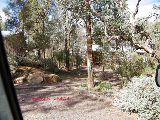 Wilpena Pound Camping and Caravan Park - Wilpena Pound: Many different types of cabins are available