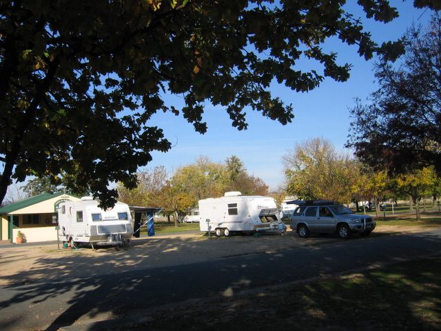 Borderland Holiday Park - Wodonga: Drive through powered sites for caravans