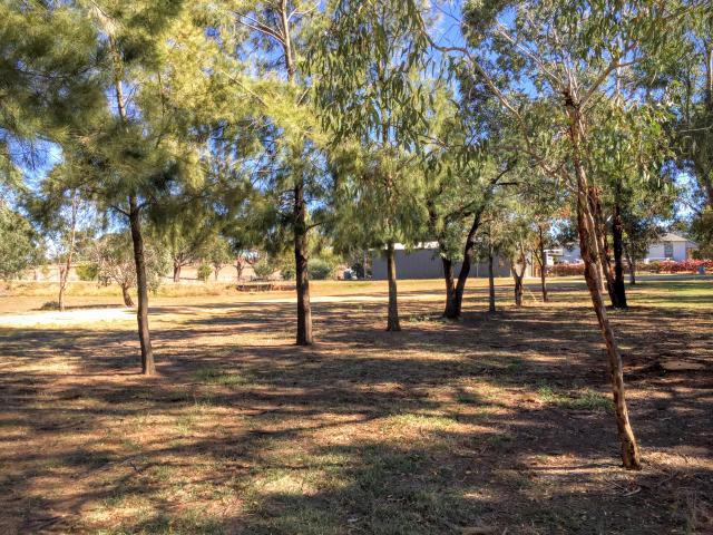 Wombat Recreation Sports Oval and Campground - Wombat: Lots of shady areas here to park. Unpowered sites cost $10 a night in power $20.