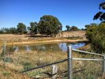 Wombat Recreation Sports Oval and Campground - Wombat: A very pleasant little billabong.